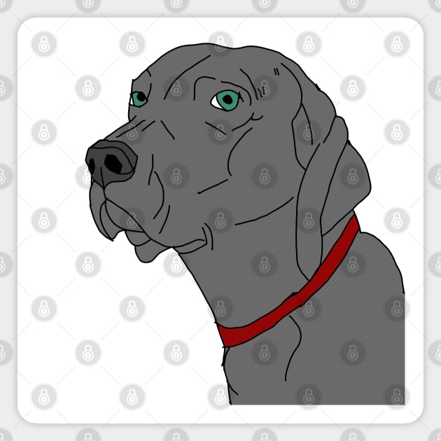 Weimaraner portrait Sticker by Noamdelf06